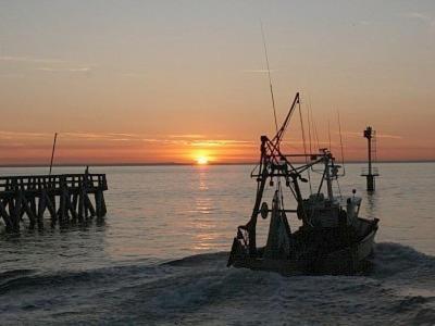 F2 Plages Du Debarquement Grandcamp-Maisy Exterior foto